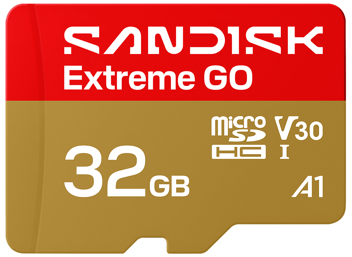 Scheda di memoria microSDHC SanDisk Extreme GO Android A1, 32Gb, Classe 10 / UHS-1 U1 SDSQXGN-032G-GN6MN