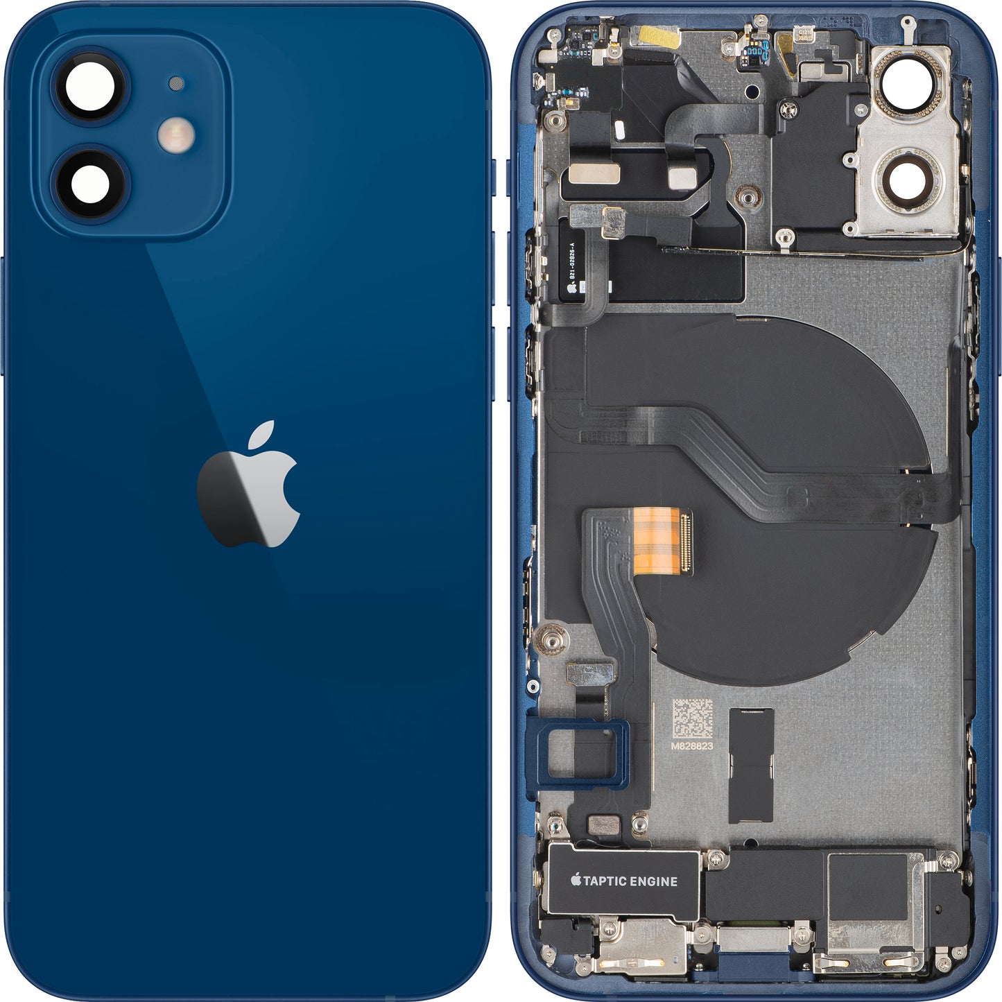 Coperchio Batteria Apple iPhone 12, Con Scocca Centrale, Completo di Parti, Blu, Swap