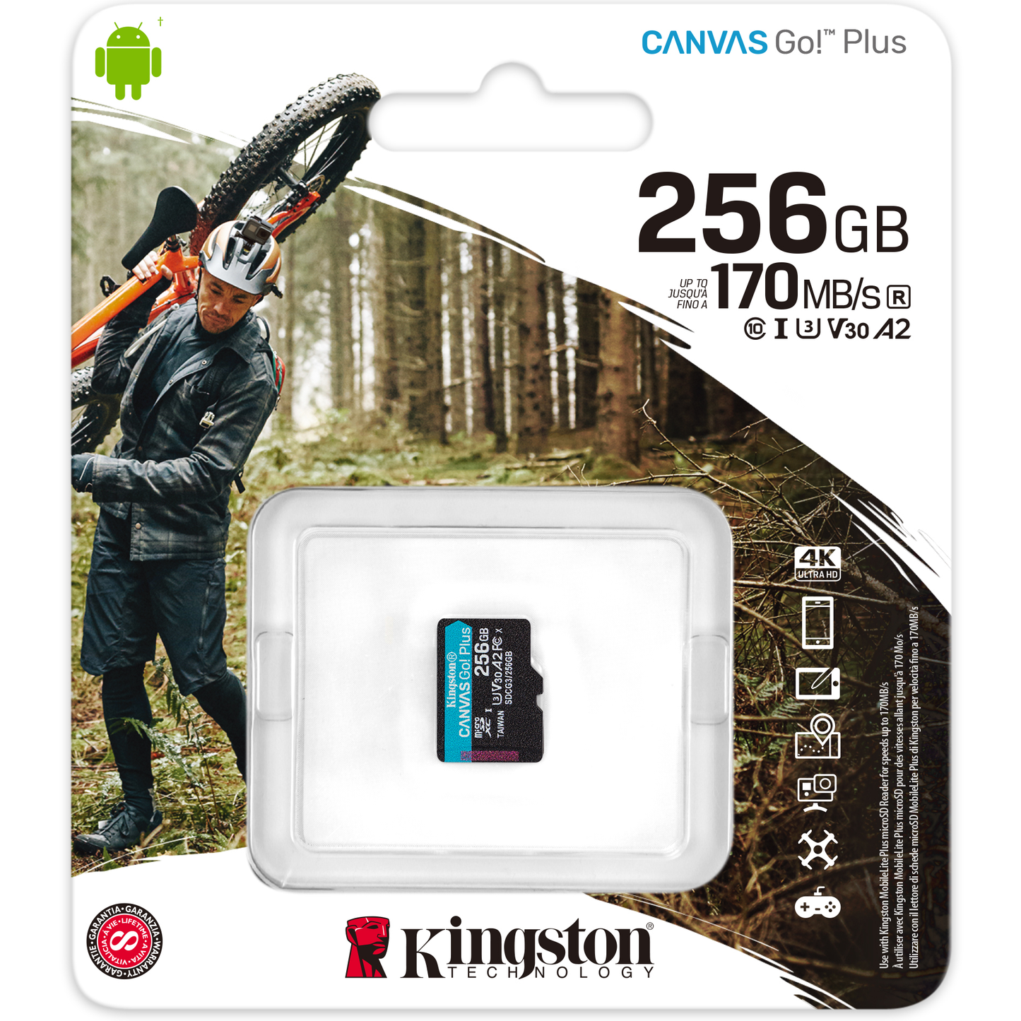 Scheda di memoria microSDXC Kingston Canvas Go Plus, 256 Gb, Classe 10 / UHS-1 U3 SDCG3/256GBSP 