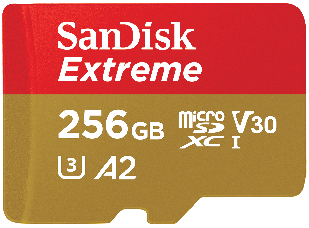 Scheda di Memoria microSDXC SanDisk Extreme, 256Gb, Classe 10 / UHS-1 U3 SDSQXAV-256G-GN6MN