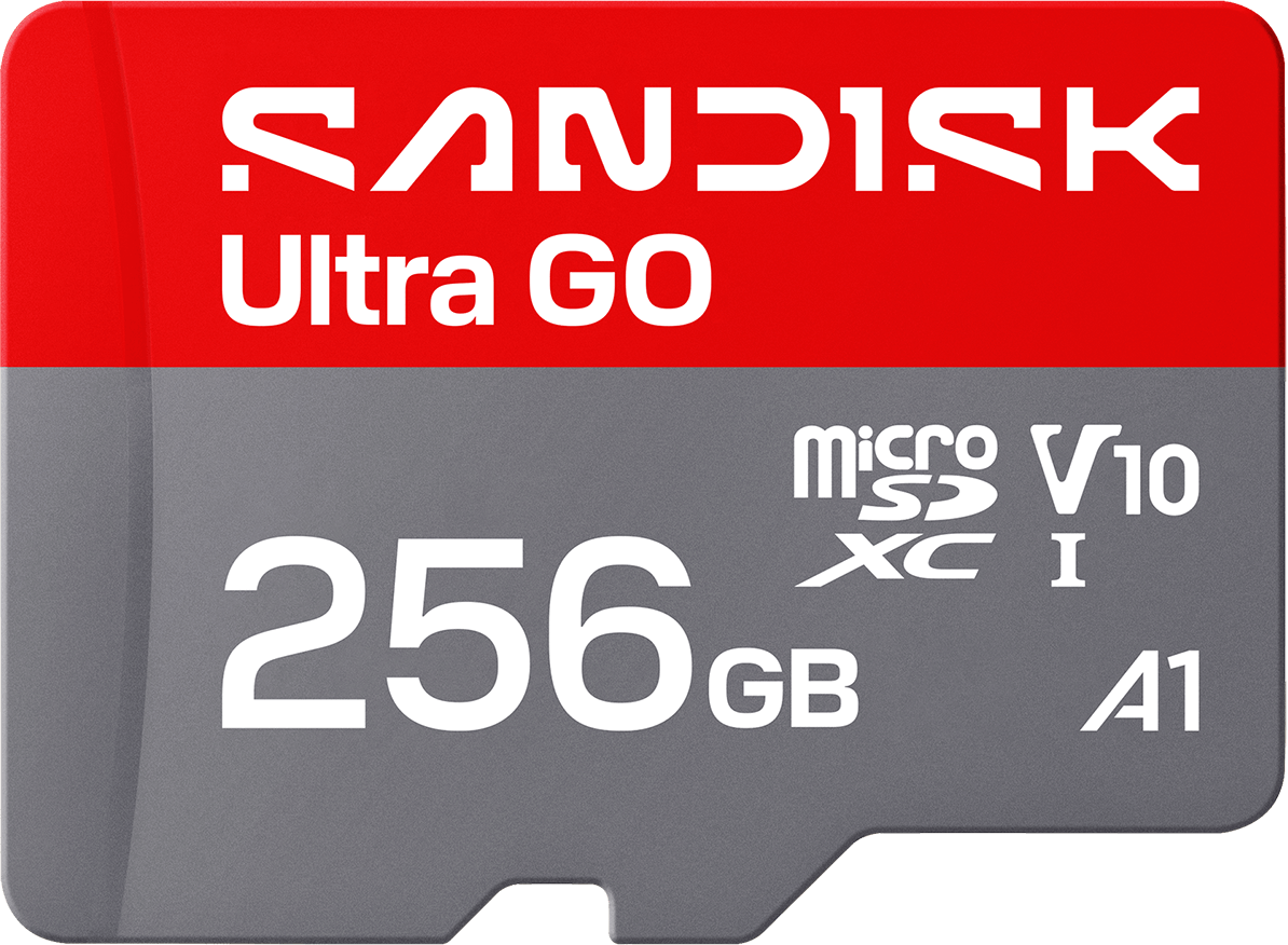 Scheda di memoria microSDXC SanDisk Ultra GO Android A1, 256Gb, Classe 10 / UHS-1 U1 SDSQUGN-256G-GN6MN