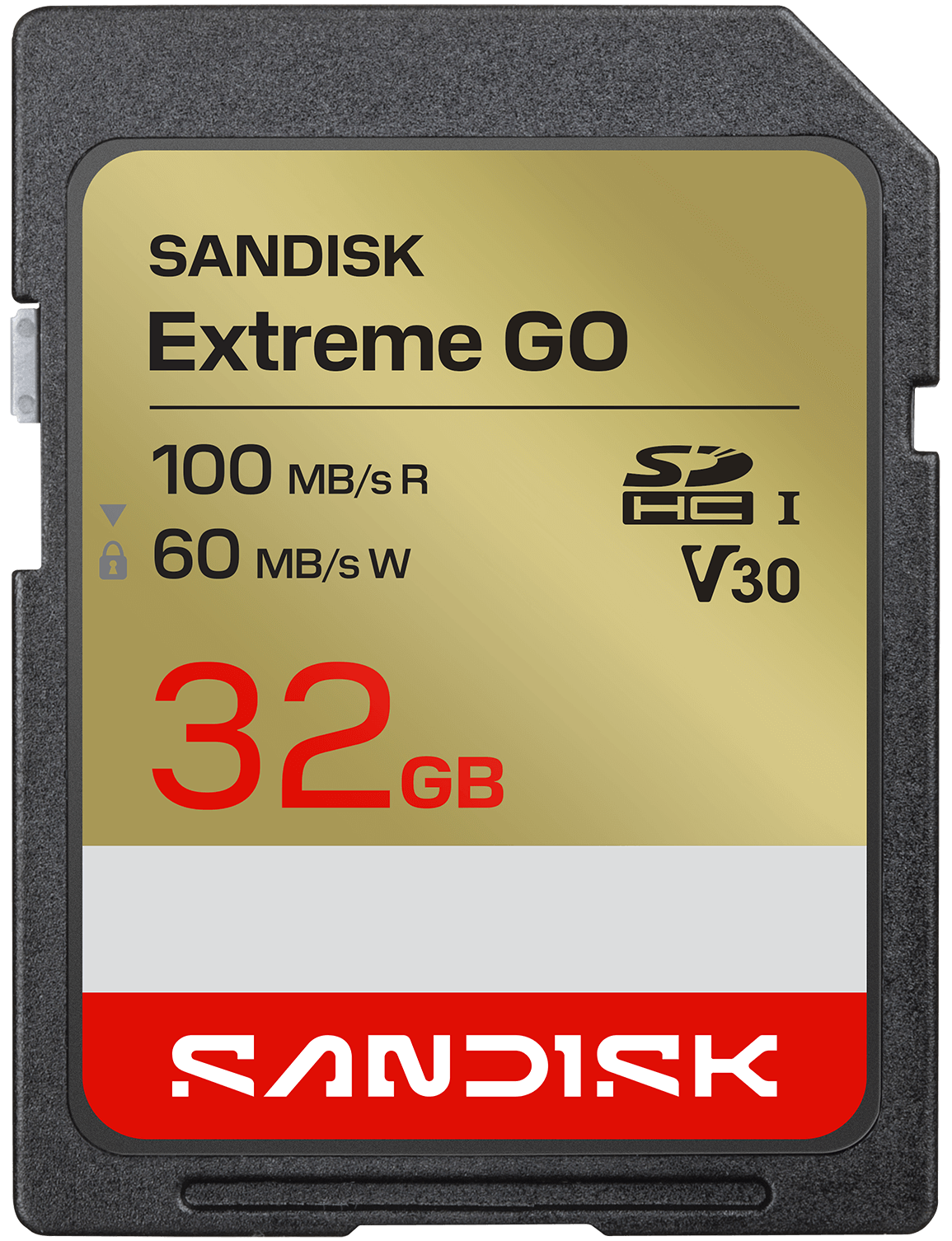 Scheda di memoria SDHC SanDisk Extreme Go, 32Gb, Classe 10 / UHS-1 U1 SDSDXGN-032G-GNCIN