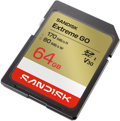Scheda di memoria SDXC SanDisk Extreme Go, 64Gb, Classe 10 / UHS-1 U1 SDSDXGN-064G-GNCIN