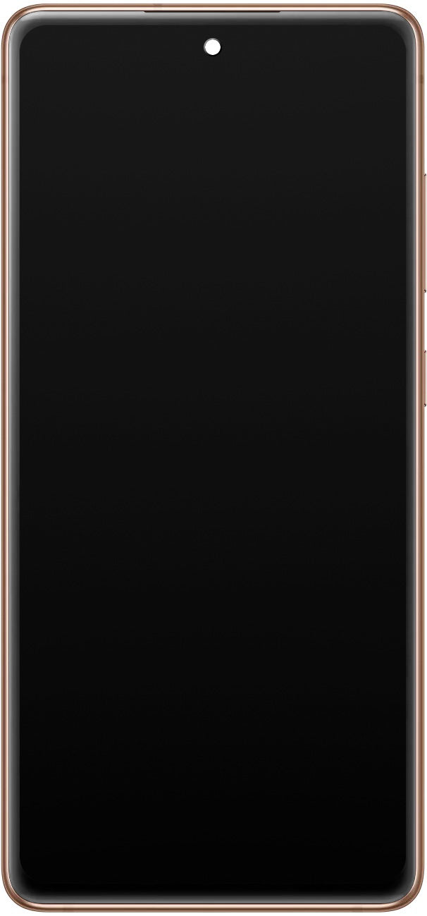 Samsung Galaxy S20 FE 5G G781 Display touchscreen con cornice, arancione, Service Pack GH82-24215F