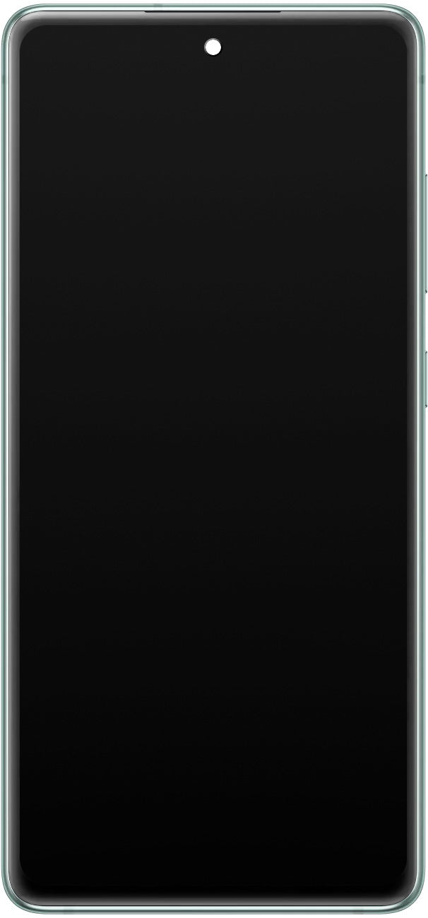 Samsung Galaxy S20 FE 5G Display touchscreen G781, con cornice, verde (Cloud Mint), Service Pack GH82-24214D GH82-24214D