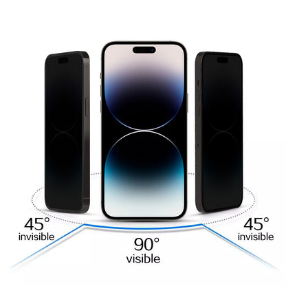 Pellicola protettiva per schermo Privacy OEM per Apple iPhone 17, Vetro temperato, Full Glue