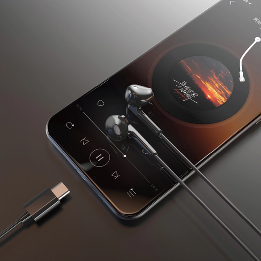 Auricolari USB-C Dudao X3C, Nero