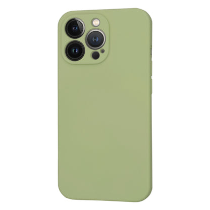Custodia MagSafe per Apple iPhone 13 Pro, Techsuit, SoftFlex, Matcha