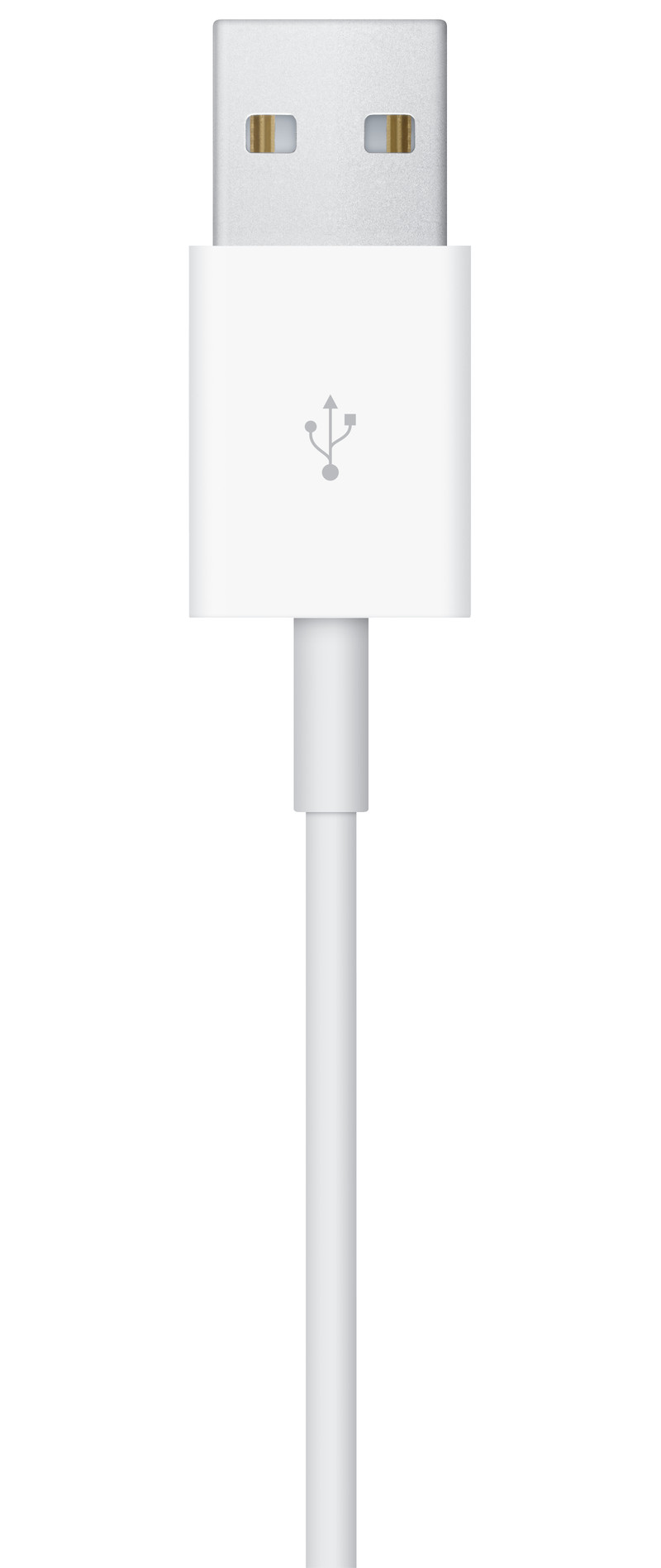 Caricabatterie Wireless per Apple Watch Series, 1m MW6A3ZM/A