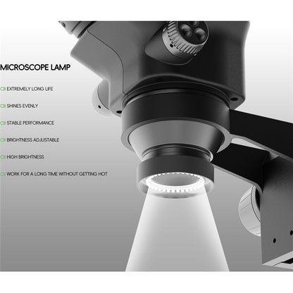 Lampada KSLid OK-13 per Microscopio, Nera