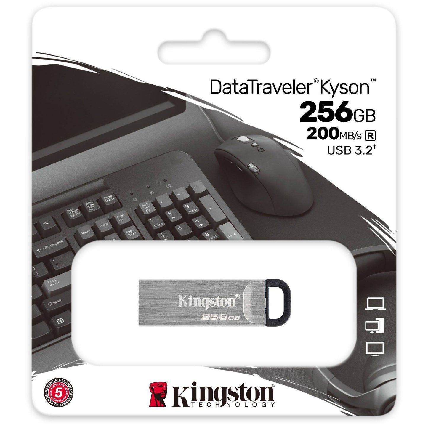 Memoria esterna Kingston DT Kyson USB-A 3.2, 256Gb DTKN/256GB 