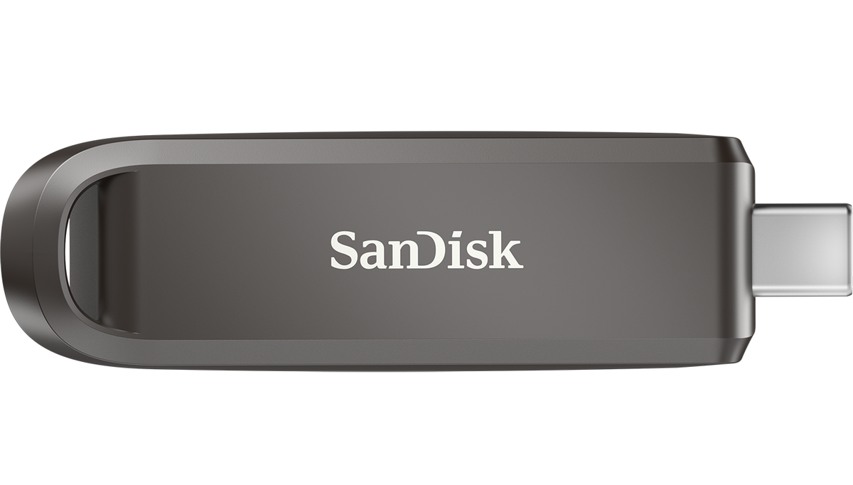 Memoria Esterna USB-C SanDisk Extreme Pro, 256Gb SDCZ890-256G-G46