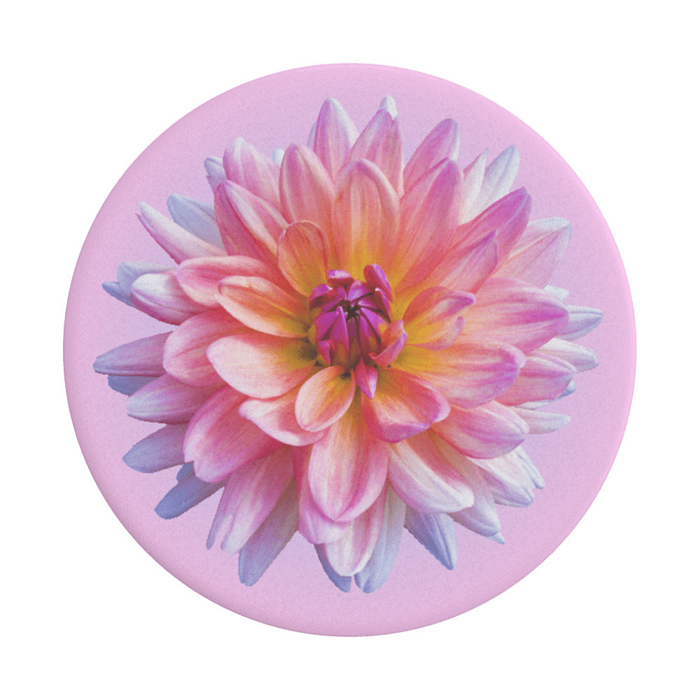 Supporto PopGrip Popsockets Dahlia Icon, Multicolore