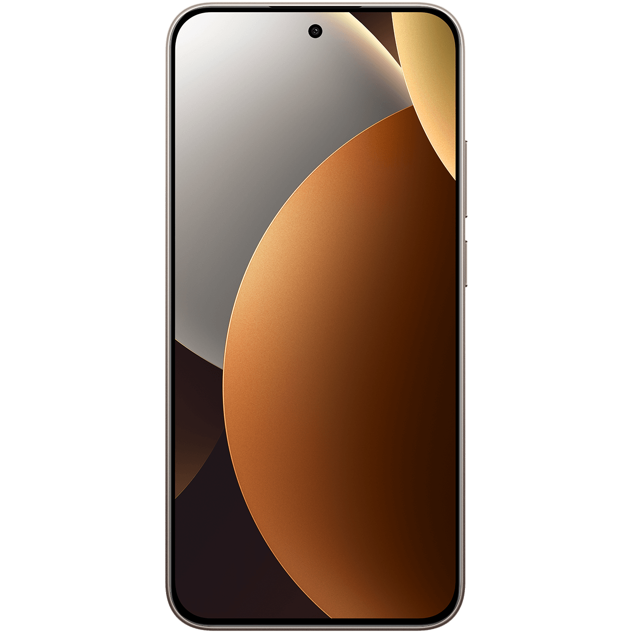 Telefono Mobile Xiaomi Redmi Note 15 Pro 5G, 256GB, 8GB, Titanium MZB0LZLEU
